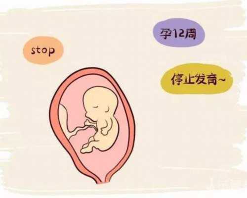 成都代孕中介哪家比较好,成都做试管婴儿有哪些(在成都做试管婴儿)
