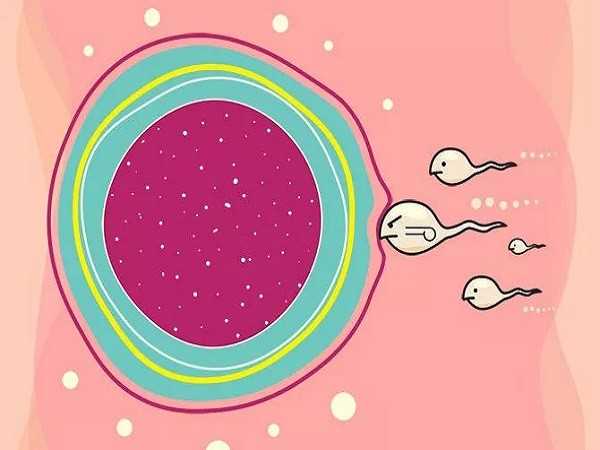 成都试管代怀招聘,成都试管婴儿科普：80、90后的青年卵巢早衰了还能做试管吗