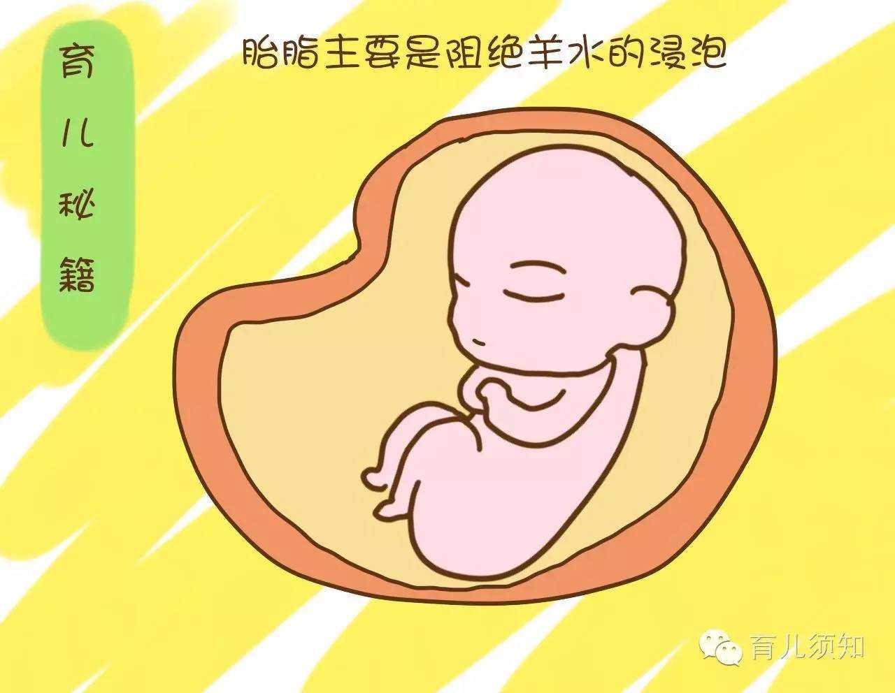 广州供卵试管机构怎么联系_杨颖代孕骗了我们就