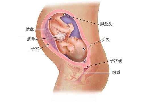成都不孕不育案例_成都有喜试管助孕中心_胎儿颈部水囊瘤怎么办