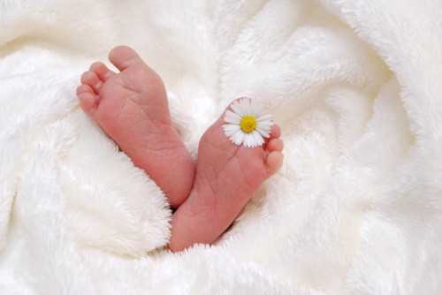 温州供卵生孩子_试管婴儿取卵视频全过程 精子活力低下的原因有？
